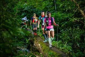 BIB: 
                            <button type="button" onclick="openModal(18923096)" class="btn btn-primary btn-sm float-right btn-popup" data-toggle="modal" data-target=".modal-high-quality">
                        <i class="fas fa-shopping-cart"></i> Add to Cart
                    </button>
                                            <button type="button" onclick="isThisMe(18923096, true)" class="btn btn-success btn-sm float-right btn-popup btn-isme hidden" data-toggle="tooltip" data-placement="bottom" title="นี่คือรูปของคุณใช่ไหม คลิกที่นี่เพื่อเอาเข้าอัลบั้ม">
                        <i class="fas fa-plus"></i> Add to album
                    </button>
                    <button type="button" onclick="isThisMe(18923096, false)" class="btn btn-warning btn-sm float-right btn-popup btn-isnotme hidden">
                        <i class="fas fa-ban"></i> Remove from album
                    </button>